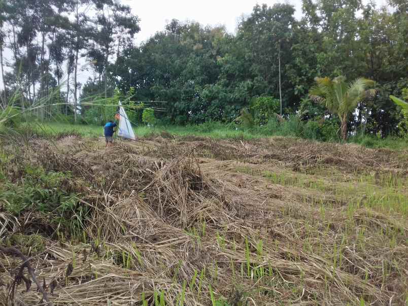 tanah jalan locari sumbersekar