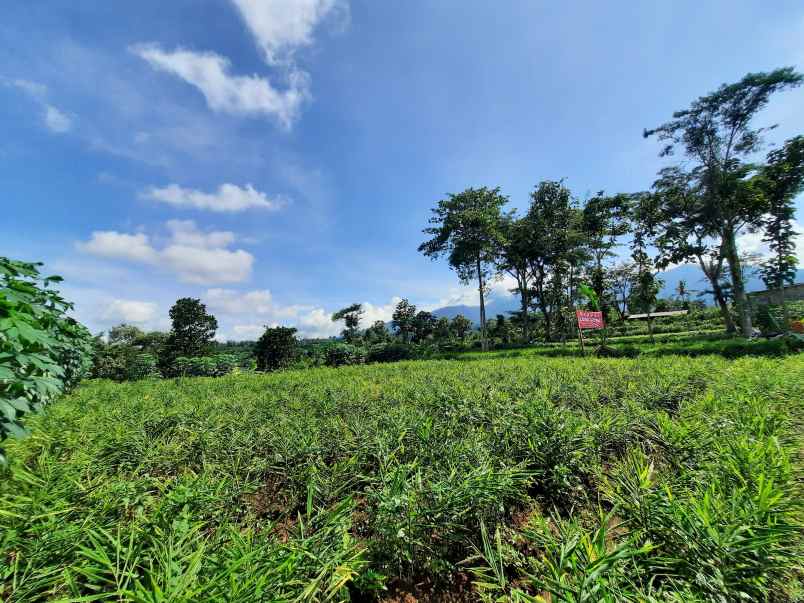 tanah jalan locari sumbersekar