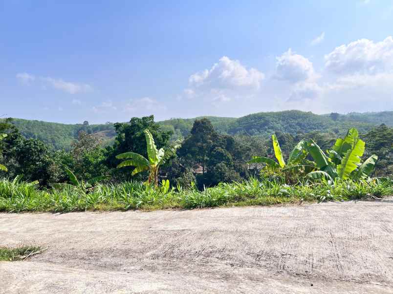 tanah kebun buah 4131m kawasan wisata ngargoyoso