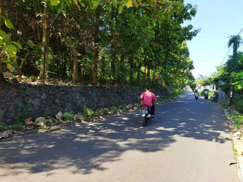 tanah kebun wonolopo mijen zona kuning