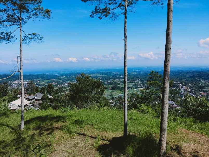 tanah kemuning ngargoyoso