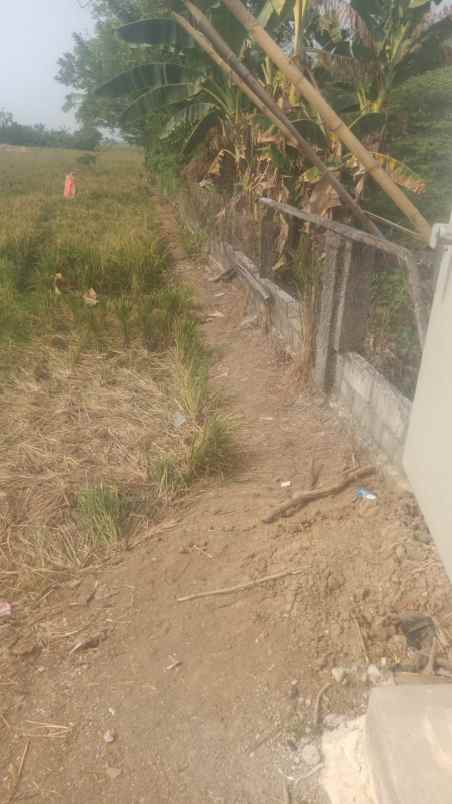 tanah kosong sudah ada bangunan ex ternak ayam