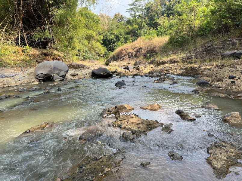 tanah murah 3075m 275 juta karanganyar