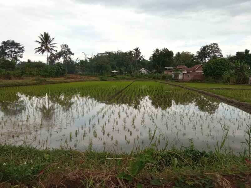 tanah murah nol jalan raya dijual cepat