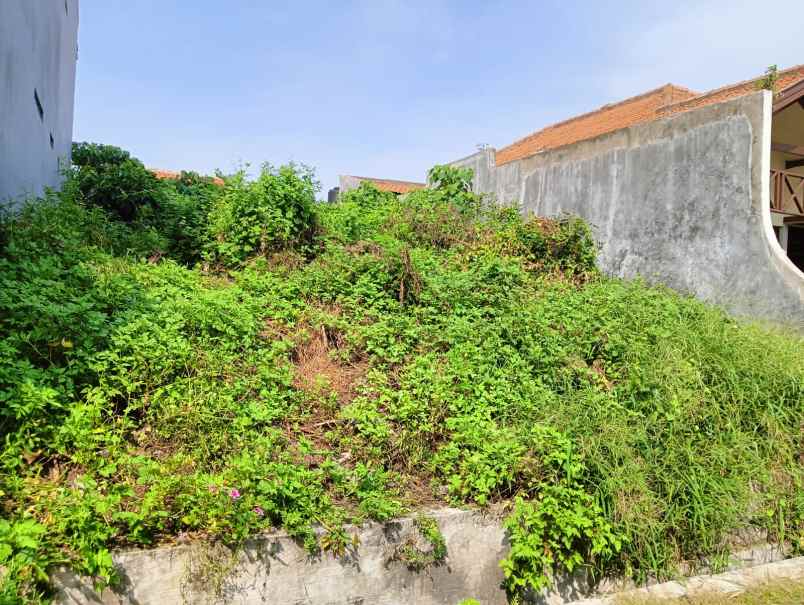 tanah siap bangun di jalan kelinci gayamsari semarang