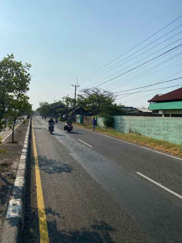 tanah strategis pinggir jln pantura