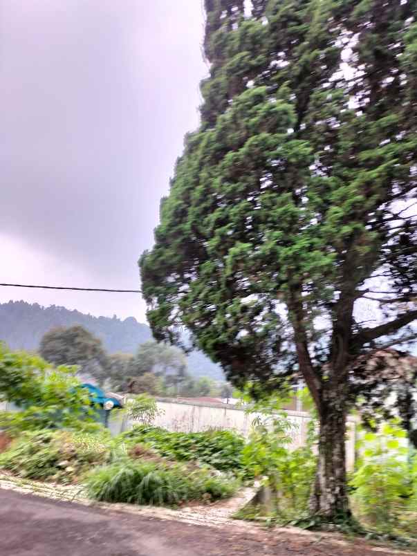 bangunan bekas pabrik dan gudang di gadog cianjur