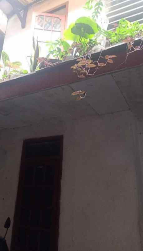 dijual kost gegerkalong setiabudi bandung