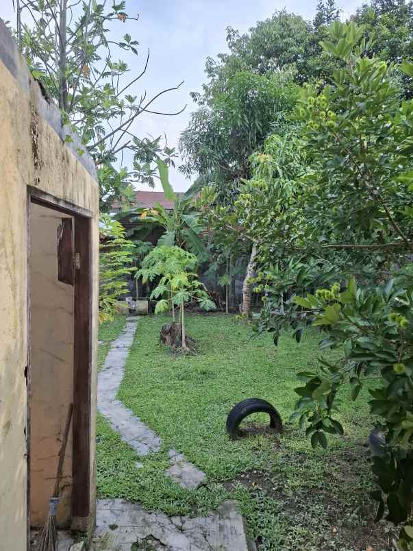 dijual rumah bebas banjir dan dekat jalan tol