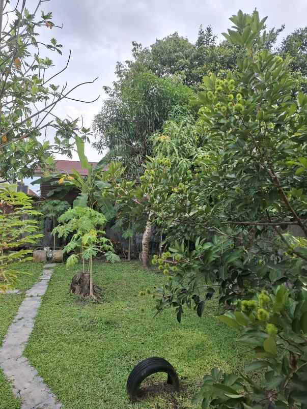dijual rumah bebas banjir dan dekat jalan tol