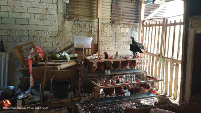 dijual rumah desa cileunca bojong