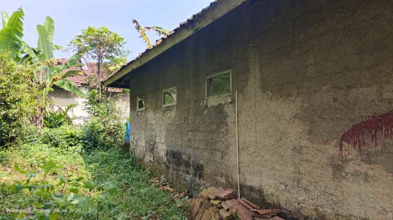 dijual rumah desa cileunca kecamatan