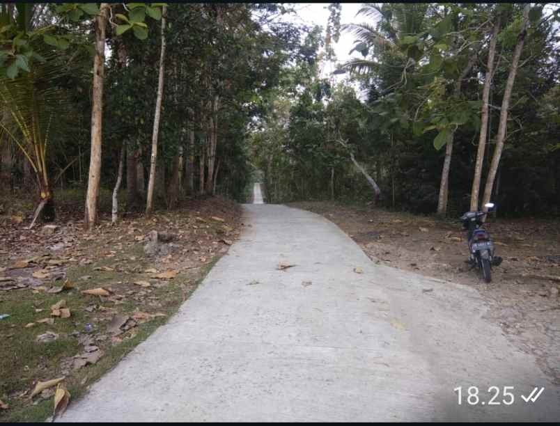 dijual tanah argosari sedayu bantul