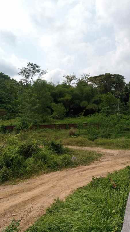 dijual tanah beran margodadi sayegan
