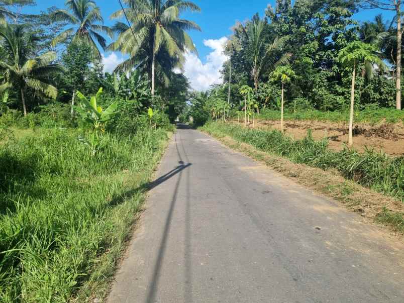 dijual tanah borobudur