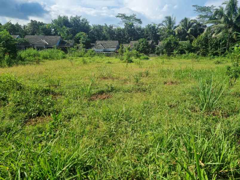 dijual tanah borobudur