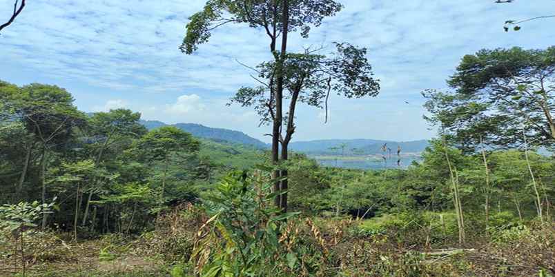 dijual tanah bunihayu