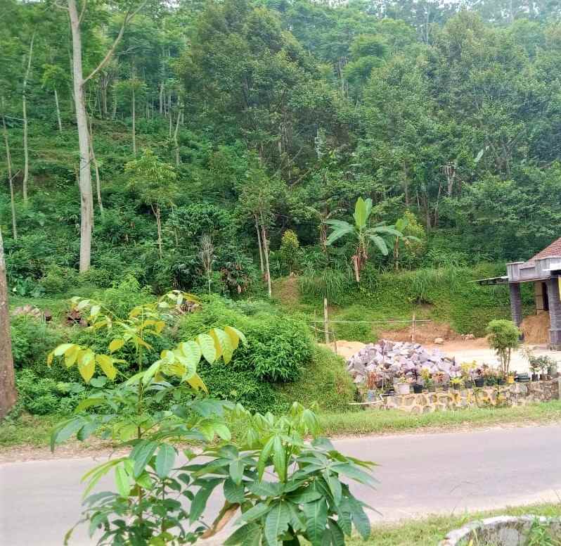 dijual tanah dekat candi cetho kemuning