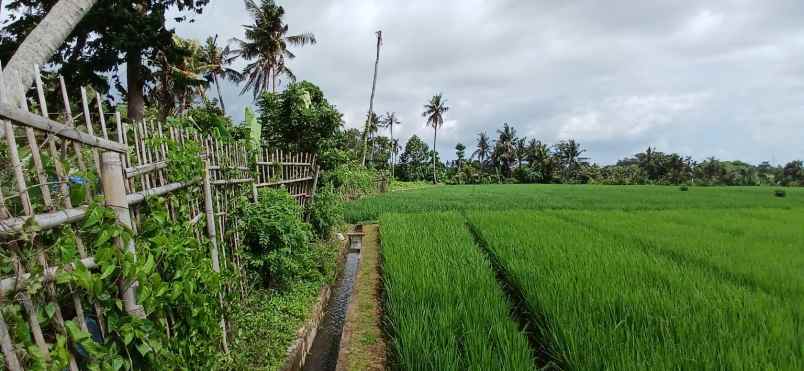 dijual tanah dekat pantai kedungu