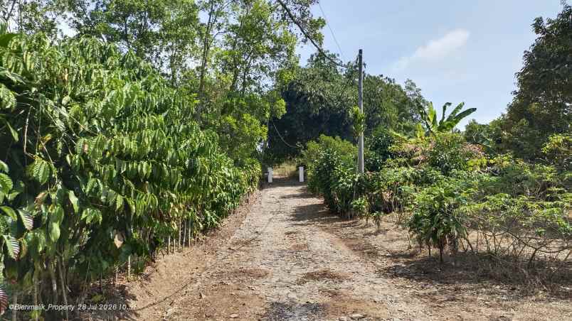 dijual tanah desa ciracas kecamatan