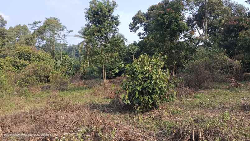 dijual tanah desa ciracas kecamatan