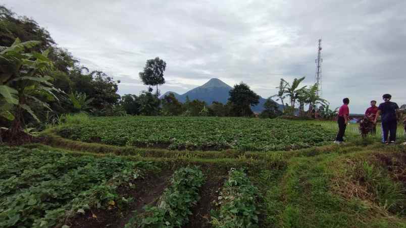 dijual tanah desa trawas keamatan trawas