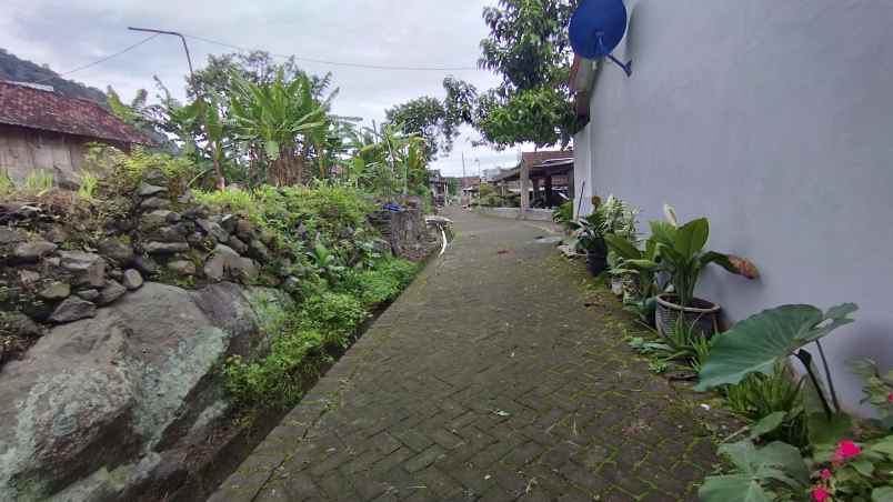 dijual tanah desa trawas keamatan trawas