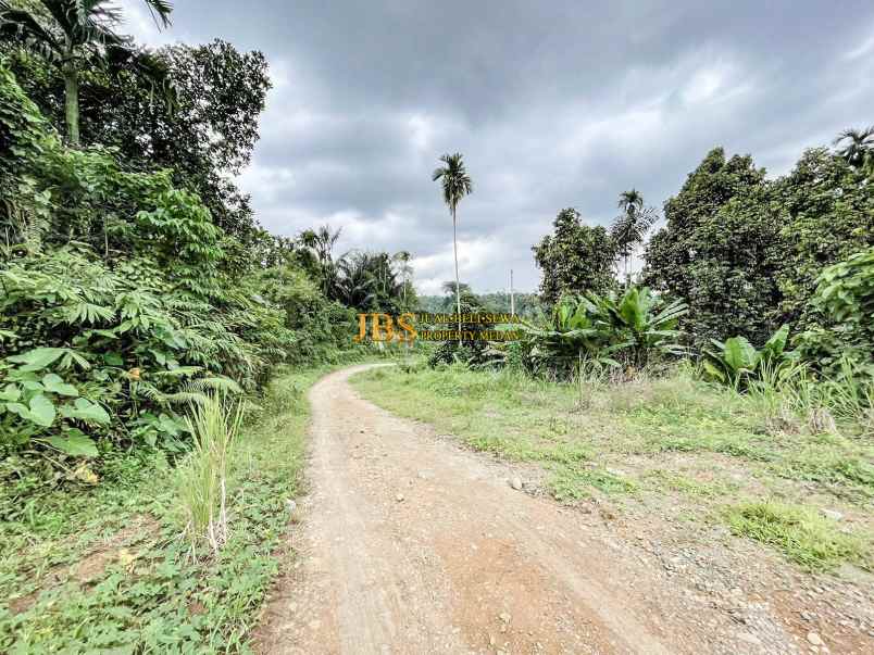 dijual tanah di jalan namorambe