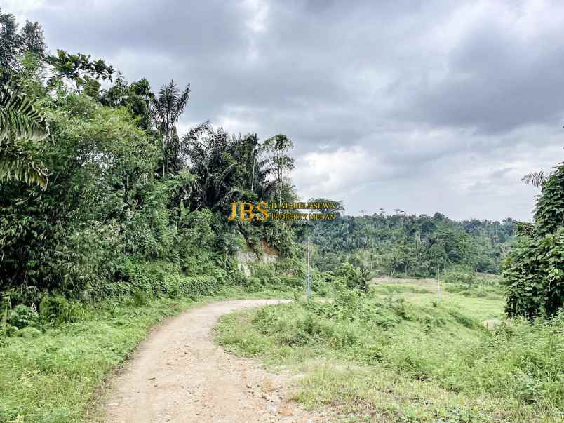 dijual tanah di jalan namorambe