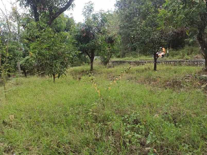 dijual tanah dijual tanah di blok