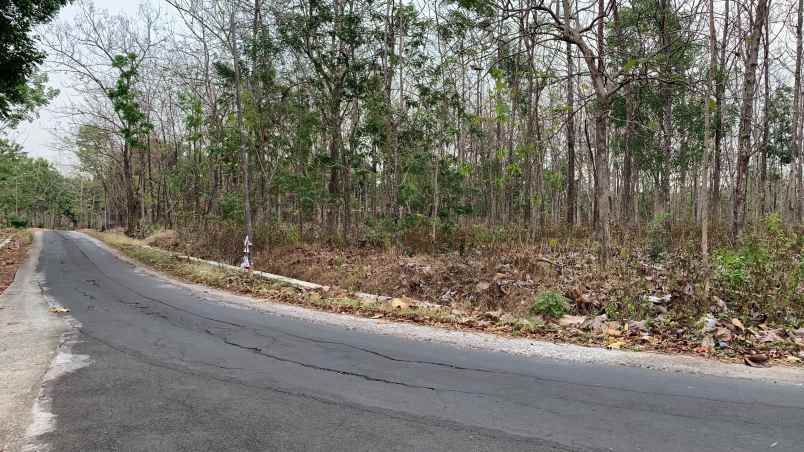 dijual tanah dijual tanah di jl dukuh