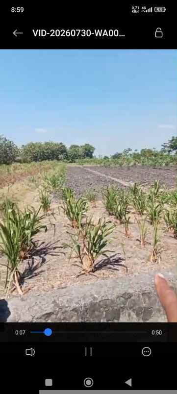 dijual tanah industri di bulusan karangdowo klaten