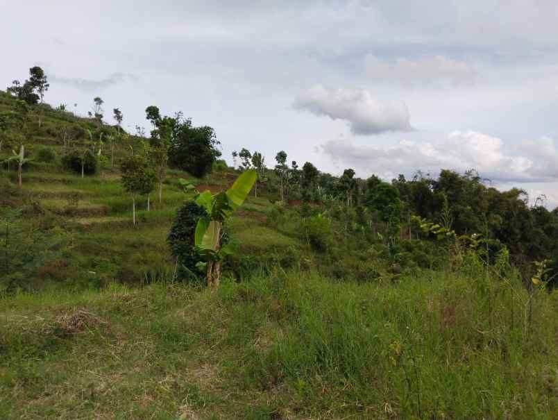 dijual tanah jalan pagerwangi punclut