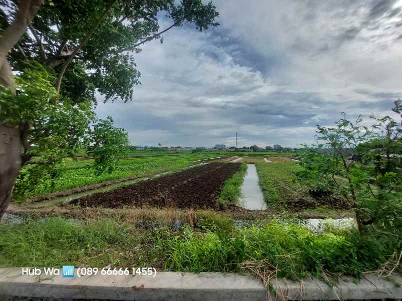 dijual tanah jalan suka karya babakan