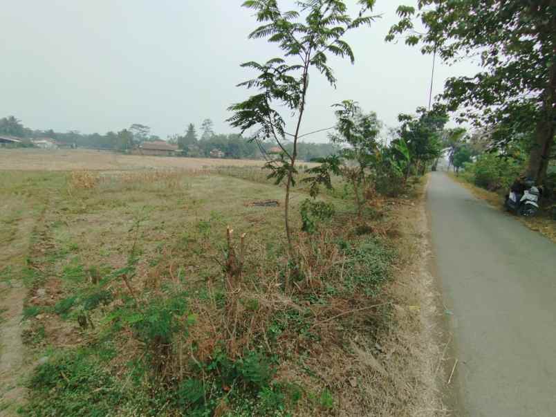 dijual tanah jalan sukaguna cihamirung