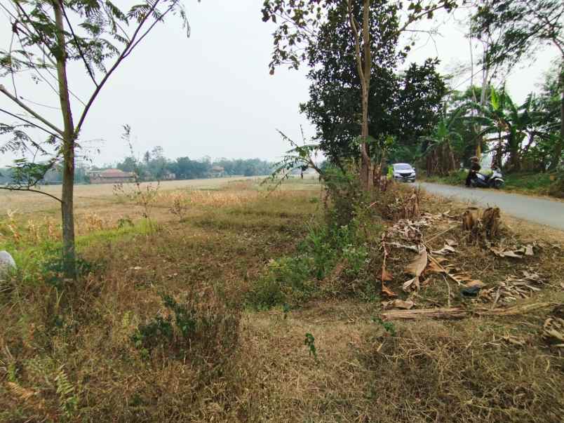 dijual tanah jalan sukaguna cihamirung