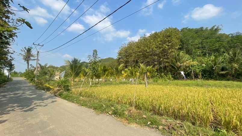 dijual tanah jatiluhur