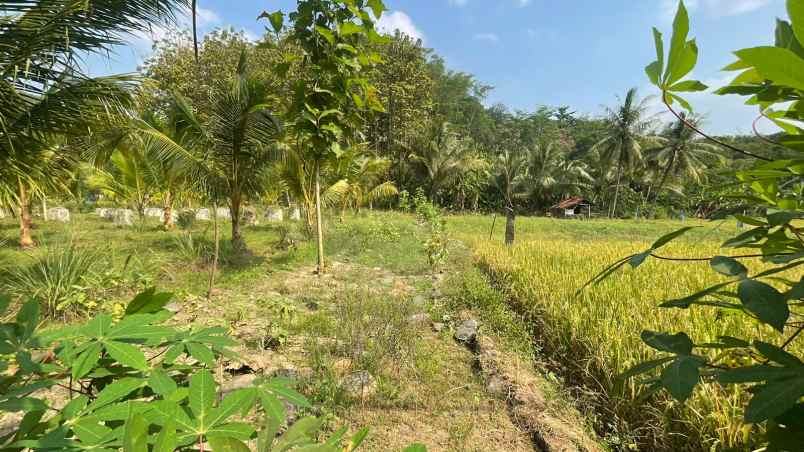 dijual tanah jatiluhur