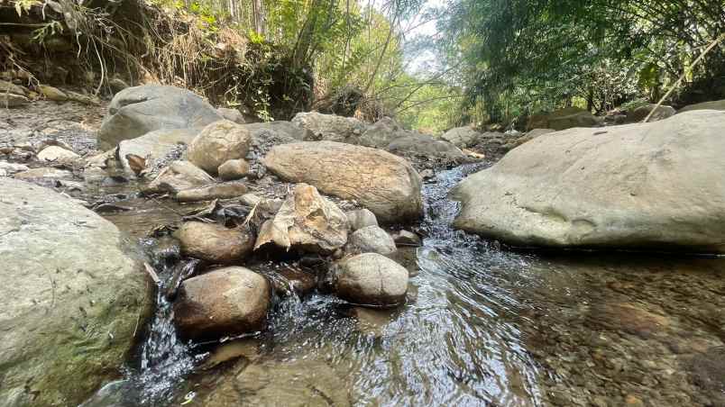 dijual tanah jatiluhur