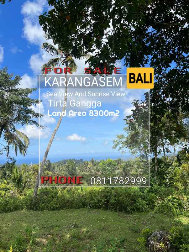 dijual tanah jl ababi