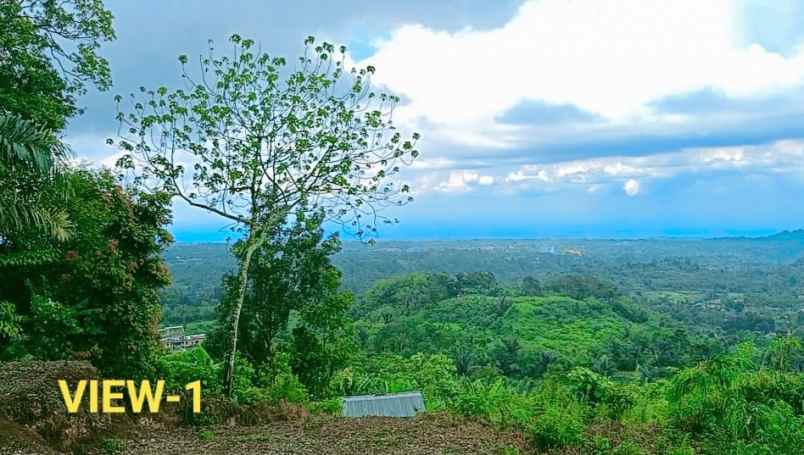 dijual tanah jl bukum sikeben bandar