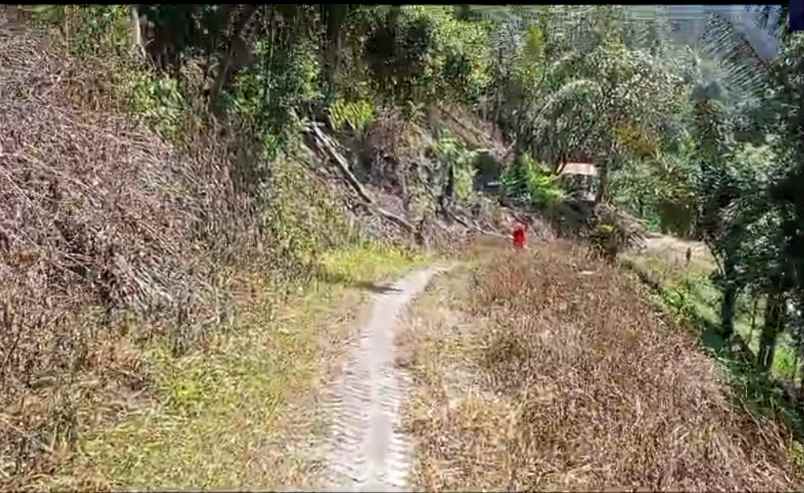 dijual tanah jl bukum sikeben bandar