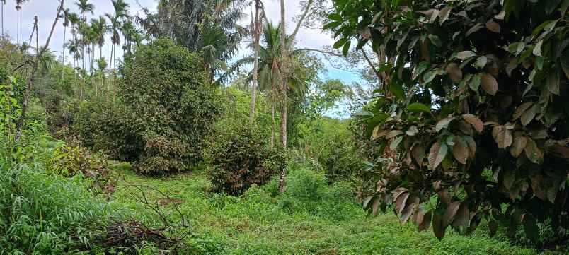 dijual tanah jl jamin ginting bandar