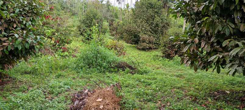 dijual tanah jl jamin ginting bandar