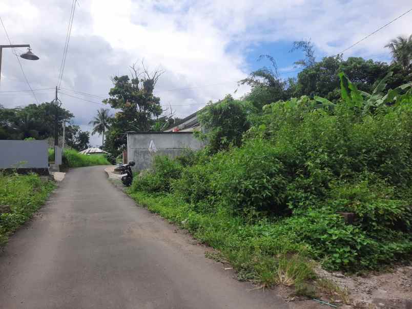 dijual tanah jl pandowoharjo