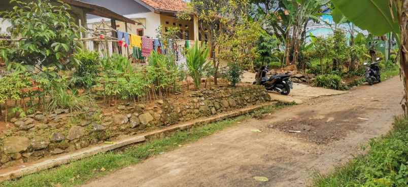 dijual tanah jl raya hambaro