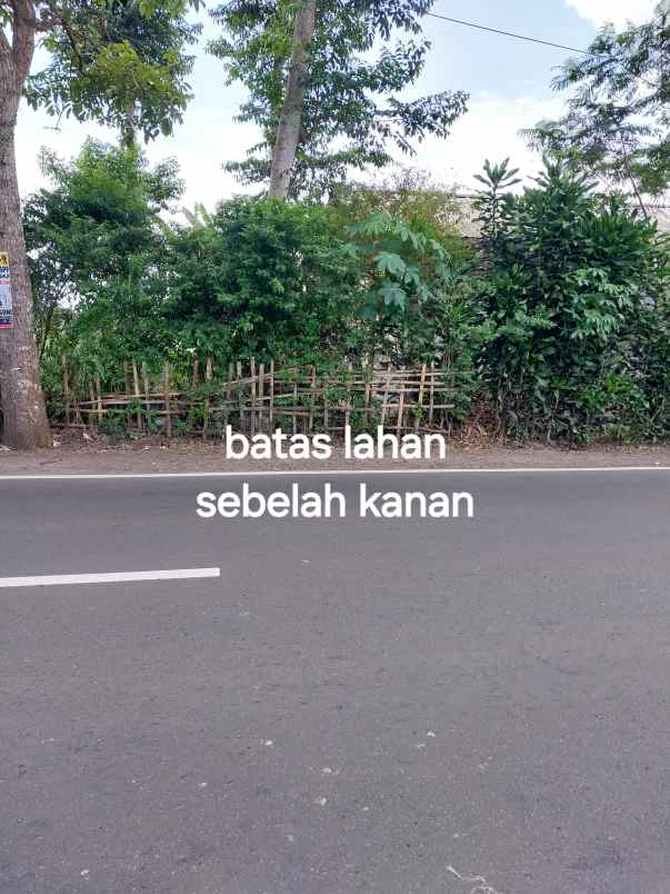 dijual tanah jl warung simpang cibuntu