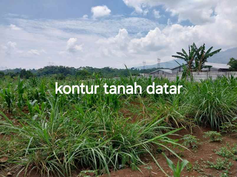 dijual tanah jl warung simpang cibuntu