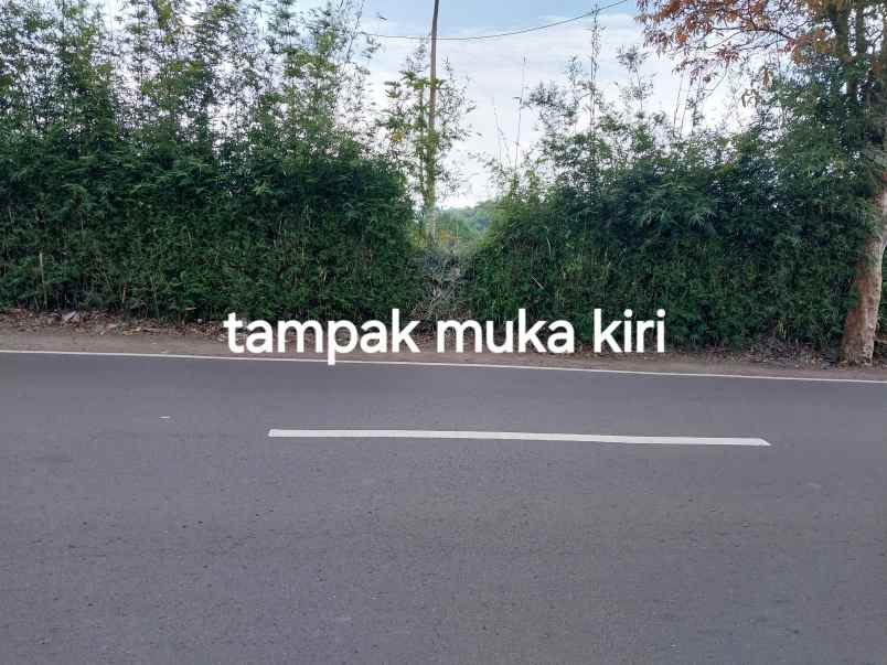 dijual tanah jl warung simpang cibuntu