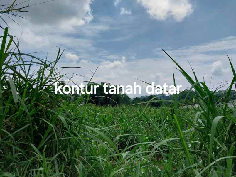 dijual tanah jl warung simpang cibuntu